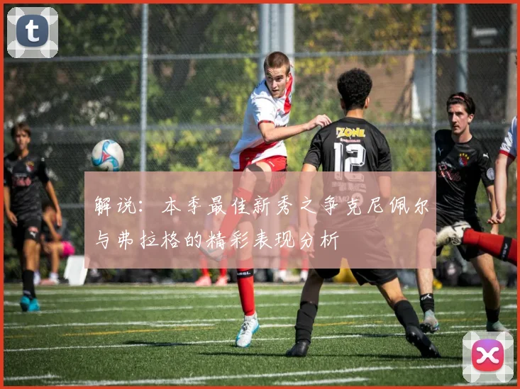 解说：本季最佳新秀之争克尼佩尔与弗拉格的精彩表现分析